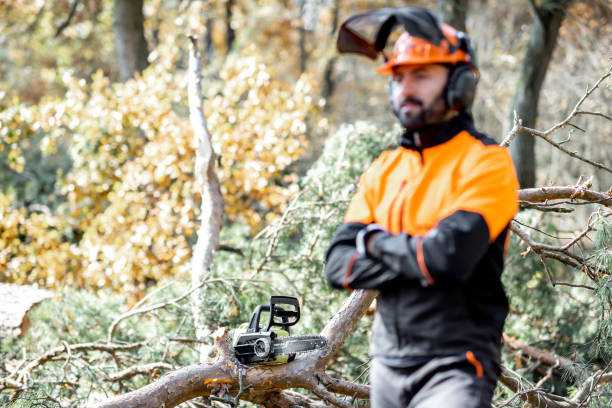 istock Professional lumberman in the forest 1189986052