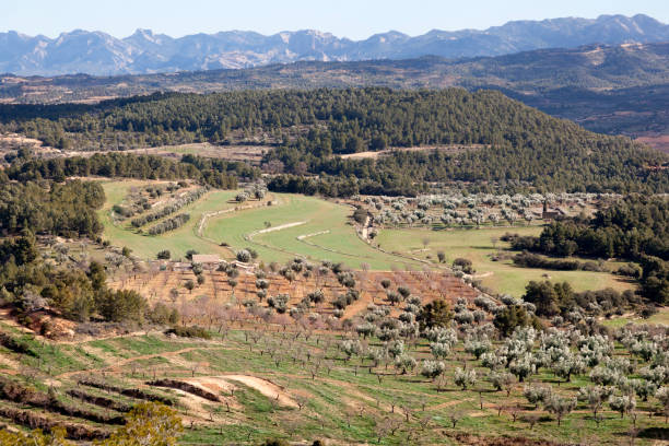 istock Los Ports natural park 1189987084