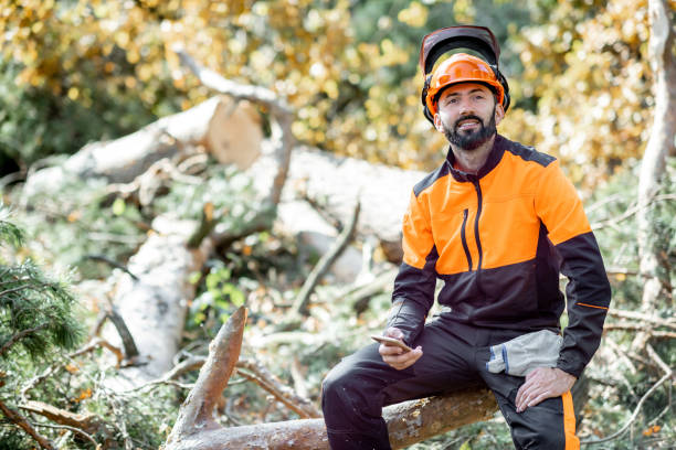 istock Professional lumberman resting in the forest 1189987126