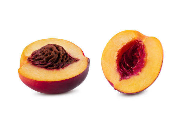 dwie połówki gładkich owoców nektaryny z jądrem i bez niego izolowane na białym tle z kopiuj miejsca na tekst lub obrazy. zbliżenie - nectarine fruit full length cross section zdjęcia i obrazy z banku zdjęć