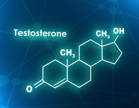 Testosterone booster ingredients