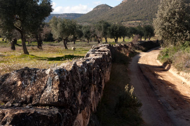 istock Dry Stone in Teruel province. Spain 1189989647