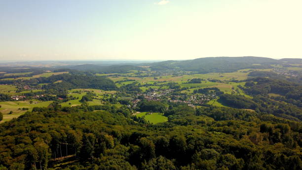 istock Forest from above with the drone summer 1189989735