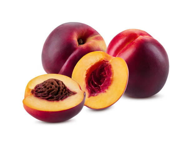 zestaw gładkich nektaryn z jądrami i bez nich izolowanych na białym tle z kopiuj miejsca na tekst lub obrazy. widok z boku. zbliżenie - nectarine fruit full length cross section zdjęcia i obrazy z banku zdjęć