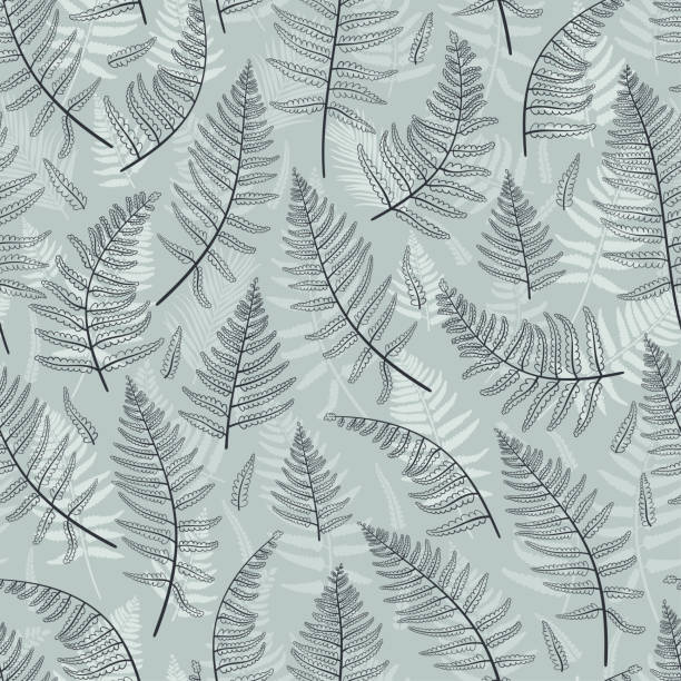 귀여운 손으로 그린 고사리 원활한 패턴, 꽃 배경, 섬유, 배경 화면, 배너에 대한 좋은 - 벡터 디자인 - silver fern stock illustrations