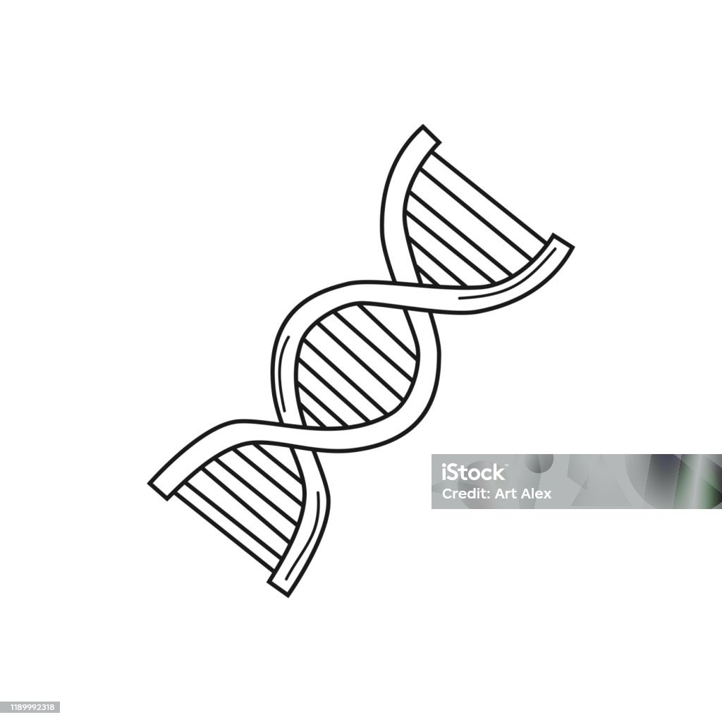 Isolated Dna Drawing Hand Drawn Dna Isolated On A White Sketch Vector Illustration Stock ...