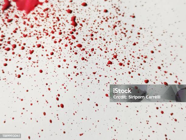 Color bleeding in high resolution OM-1 files - Adobe Community - 13789341