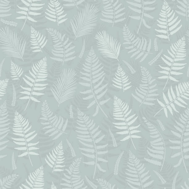 ładny ręcznie rysowany wzór paproci bez szwu, kwiatowe tło, idealne do tkanin, tapet, banerów - projekt wektorowy - silver fern stock illustrations