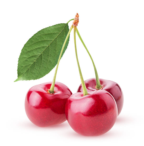 istock Sweet cherry berry, three on a branch with leaf 1189994734