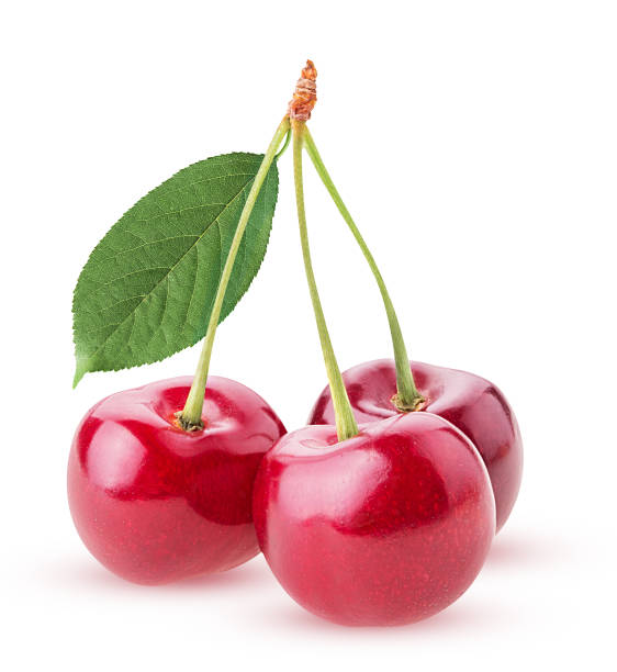 istock Sweet cherry berry, three on a branch with leaf 1189995816