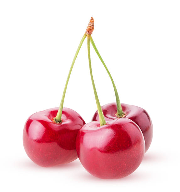 istock Sweet cherry berry, three on a branch 1189995884