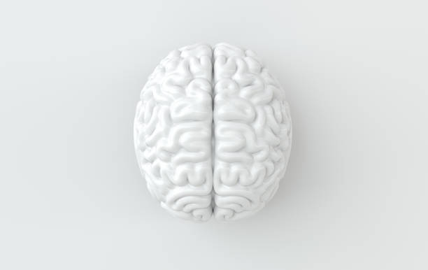 istock 3d brain rendering illustration template background. The concept of intelligence, brainstorm, creative idea, human mind, artificial intelligence. 1189996210