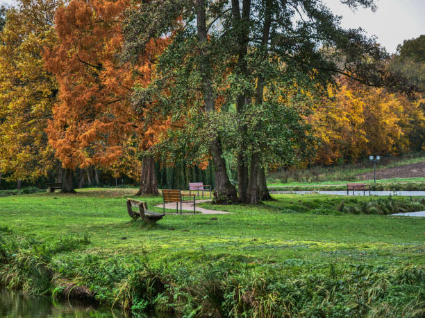 istock autumn in the german muensterland 1189996273