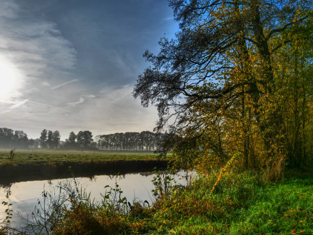 istock autumn at a river in germany 1189997557