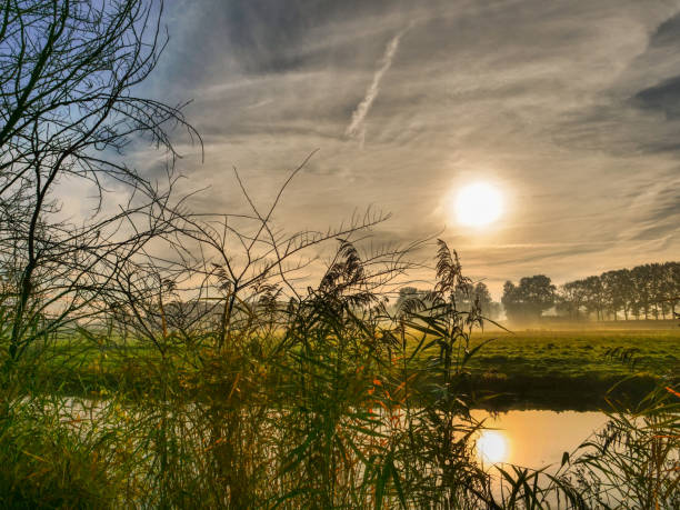 istock autumn at a river in germany 1189997647