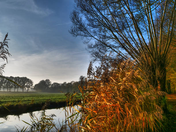 istock autumn at a river in germany 1189997714