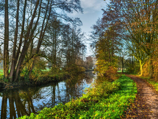 istock autumn at a river in germany 1189997814