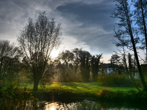 istock autumn at a river in germany 1189997868