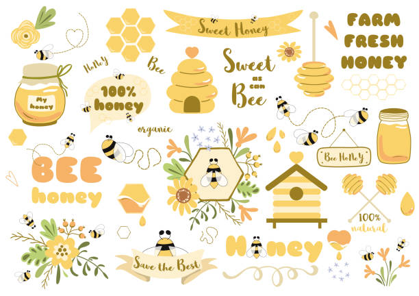 Bees set honey clipart Hand drawn bee honey elements Hive honeycomb pot beekeeping Text phrases illustration Bees set Cute honey clipart Hand drawn bee honey elements Hive honeycomb pot spoon beekeeping Text phrases in ribbon wreath Floral bee bouquet. Sticker tag icon logo Honey design Vector illustration. honeycombs clip art stock illustrations