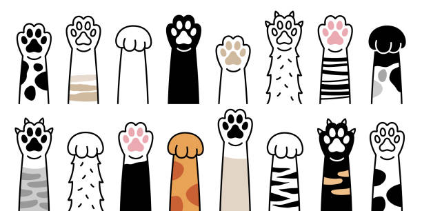 illustrations, cliparts, dessins animés et icônes de pattes vers le haut des animaux familiers réglés d'isolement sur le fond blanc. illustration de vecteur - dog domestic cat pets animal