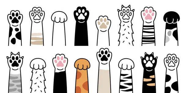 Vector illustration of Paws up pets set isolated on white background. Vector illustration