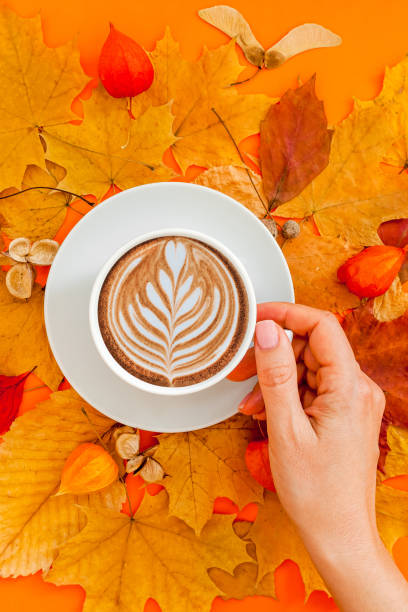 Coffee latte cup in dry autumn leaves wreath frame