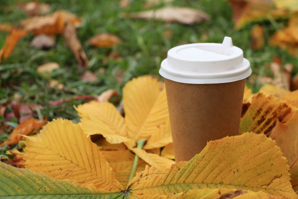 istock Paper coffee cup on the yellow fallen leaves 1189998935