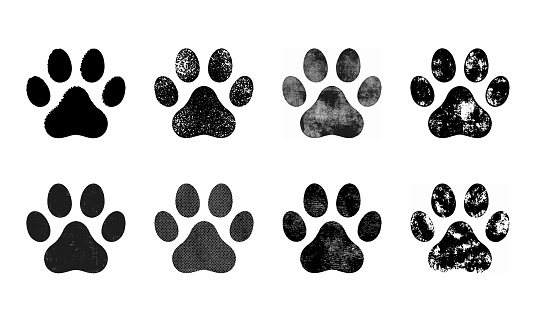 Set of Paw Print. Vector illustration