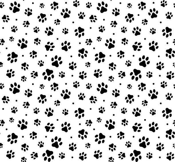 ilustraciones, imágenes clip art, dibujos animados e iconos de stock de patrón vectorial sin costuras con huellas de patas de un perro (lobo), manchas y manchas. ilustración de stock - paint can