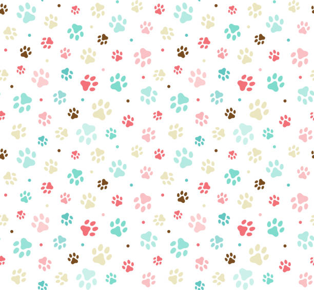 Dog paw print seamless. Template for your design, wrapping paper, card, poster, banner, flyer. Vector illustration. Isolated on white background stock illustration Dog paw print seamless. Template for your design, wrapping paper, card, poster, banner, flyer. Vector illustration. Isolated on white background stock illustration domestic animals background stock illustrations