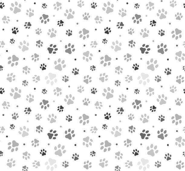 illustrazioni stock, clip art, cartoni animati e icone di tendenza di illustrazione stock animal paw seamless pattern - cane