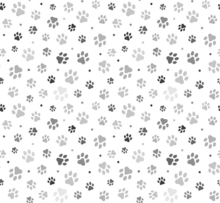 Animal Paw Seamless Pattern stock illustration