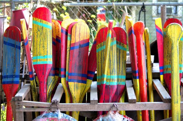 istock Colorful vivid oars. 1190000087