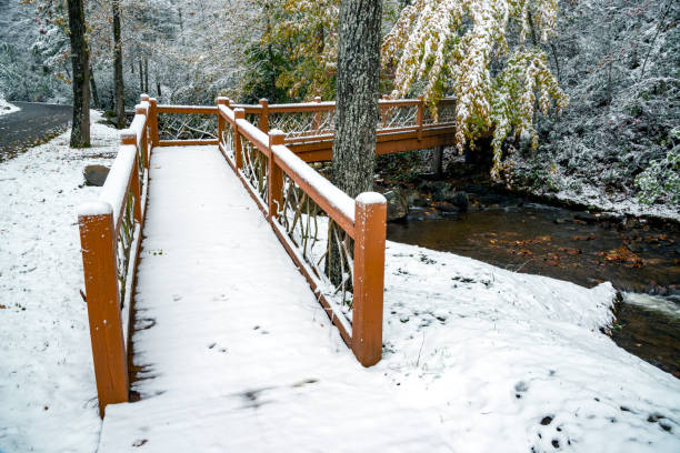 istock Snow Covered Bridge Over Mountain Creek 1190002591