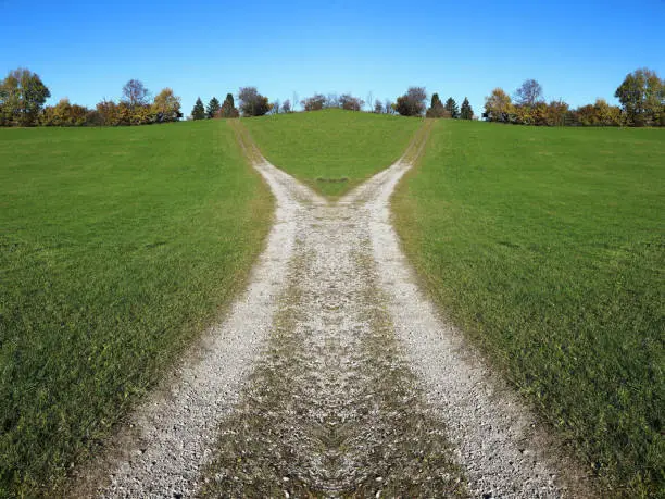 A divided path. Which way should you go?