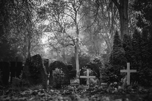 Vintage, retro photo of old graves and tombstones in an ancient cemetery. Grainy, noisy, artistic monochrome image. Halloween, all saints concept.