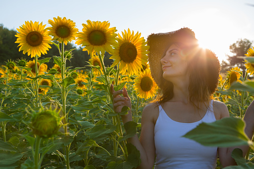 A happy, beautiful young girl in a straw hat is standing in a large field of sunflowers. Summer time. Back view. The beautiful girl in Sunflowers field , emotional girl, enjoying nature and laughing on summer sunflower field. Sunflare, sunbeams, glow sun. Backlit, hiding behind flowers
