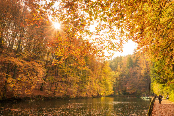 An autumnal day at a lake in Germany.