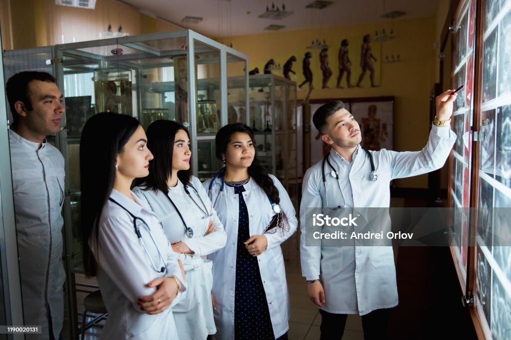 A group of surgeon interns is studying fetal development at different stages of pregnancy. Health education concept. Medical students in the classroom with images of ultrasound A group of surgeon interns is studying fetal development at different stages of pregnancy. Health education concept. Medical students in the classroom with images of ultrasound. Healthcare And Medicine Stock Photo