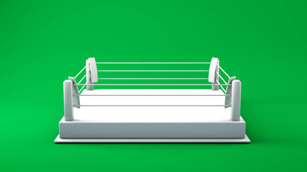 The realistic mock-up boxing ring arena