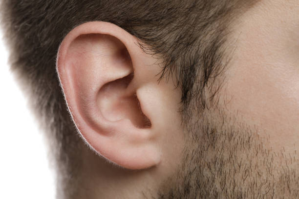 plan rapproché de l'oreille mâle - oreille humaine photos et images de collection