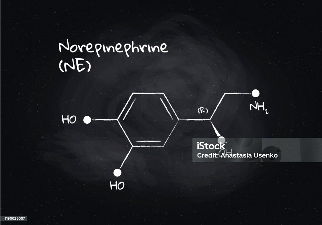 Norepinephrine Color Vector Norepinephrine Structure Banner Illustration Hormone Associated ...