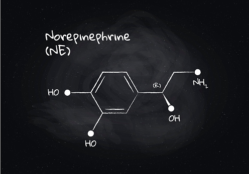 Norepinephrine Main Function Vector Norepinephrine Structure Banner Illustration Hormone Associated ...