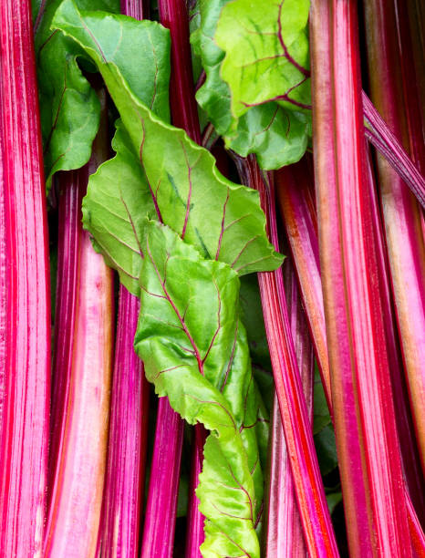 istock Beet leaves. Beetroot leaves, fresh beet leaf us background 1190025349