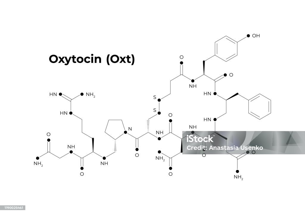 Oxytocin Math Vector Hormones Minimalistic Banner Template Oxytocin Structure Black ...