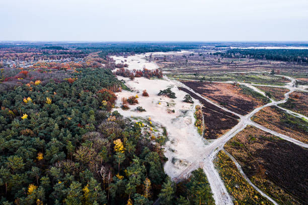 An aerial view from above on national park Loonse en Drunense duinen during fall near Loon op Zand, Brabant, Netherlands An aerial view from above on national park Loonse en Drunense duinen during fall near Loon op Zand, Brabant, Netherlands berkel stock pictures, royalty-free photos & images