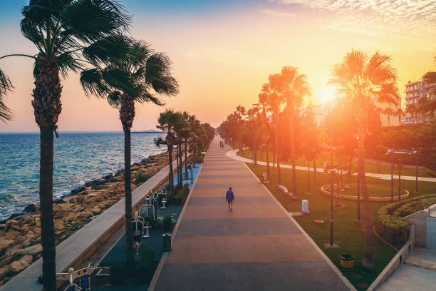 Limassol promenade or embankment at sunset. Aerial view of famous Cyprus alley with palms and walking people. Mediterranean resort in evening time Limassol promenade or embankment at sunset. Aerial view of famous Cyprus alley with palms and walking people. Mediterranean resort in evening time, toned limassol street stock pictures, royalty-free photos & images