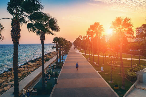 Limassol promenade or embankment at sunset. Aerial view of famous Cyprus alley with palms and walking people. Mediterranean resort in evening time Limassol promenade or embankment at sunset. Aerial view of famous Cyprus alley with palms and walking people. Mediterranean resort in evening time, toned limassol photos stock pictures, royalty-free photos & images