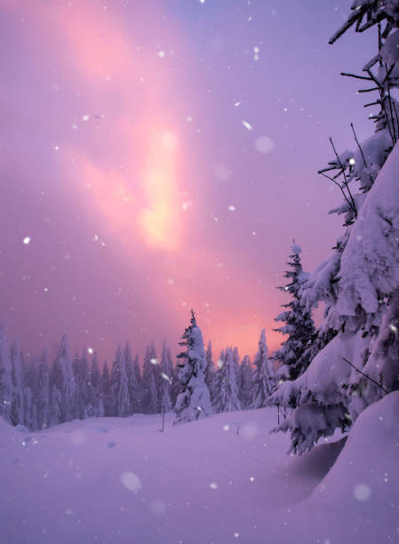 istock Christmas background with snowy fir trees. 1190029398