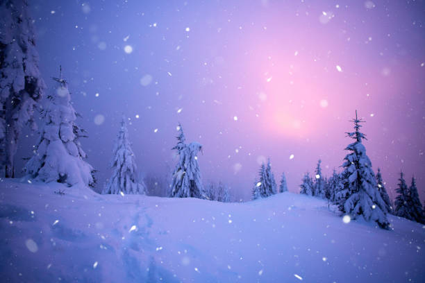 istock Christmas background with snowy fir trees. 1190029509